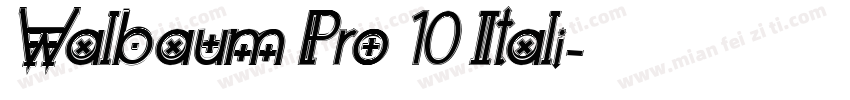 Walbaum Pro 10 Itali字体转换